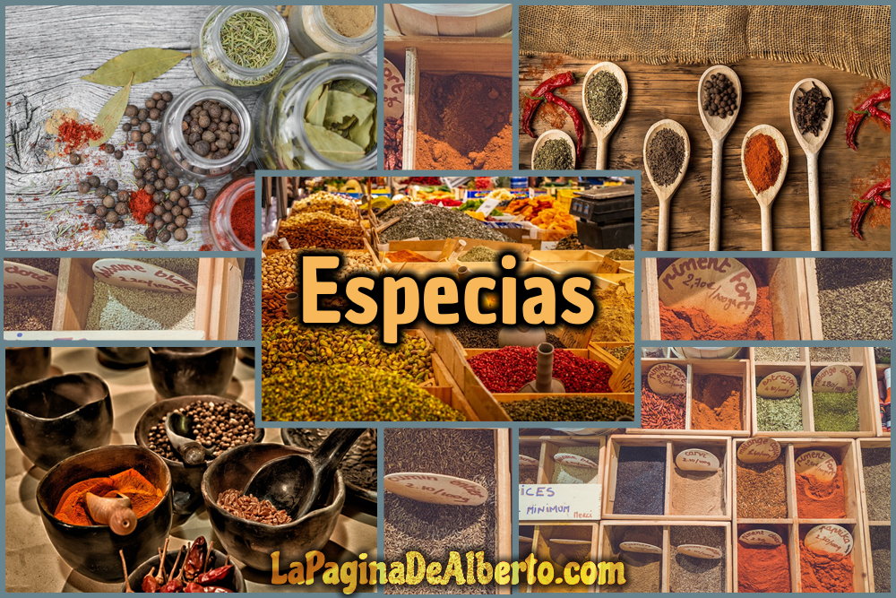 Existen una gran variedad de especias de cocina y sus usos, aprende de las más básicas, las que más te gustan en tus platos favoritos.