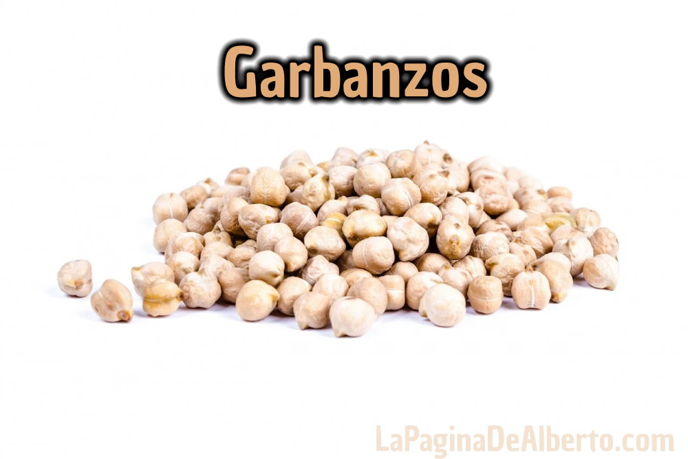 Las semillas de garbanzo son ricas en proteínas. Es una de las primeras legumbres cultivadas.