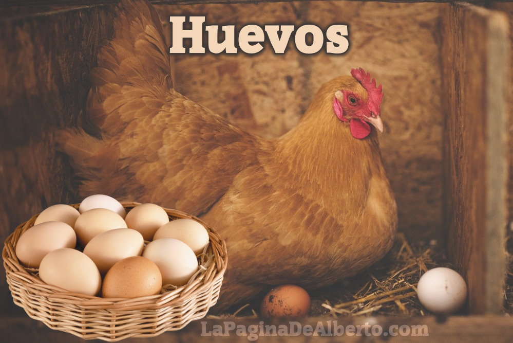 Los huevos se encuentran entre los alimentos más nutritivos del planeta.