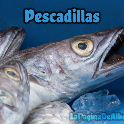 Pescadilla