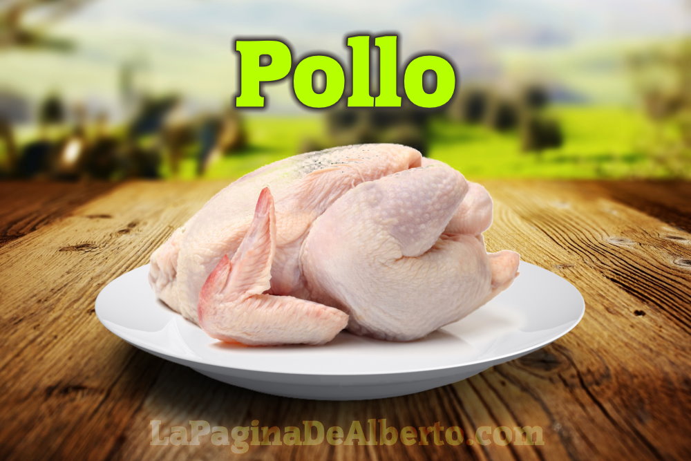 Existen más pollos que cualquier otra especie de aves.