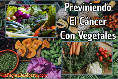 Thumbnail for Previniendo El Cáncer Con Vegetales