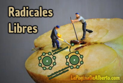 Thumbnail for Qué Son Los Radicales Libres
