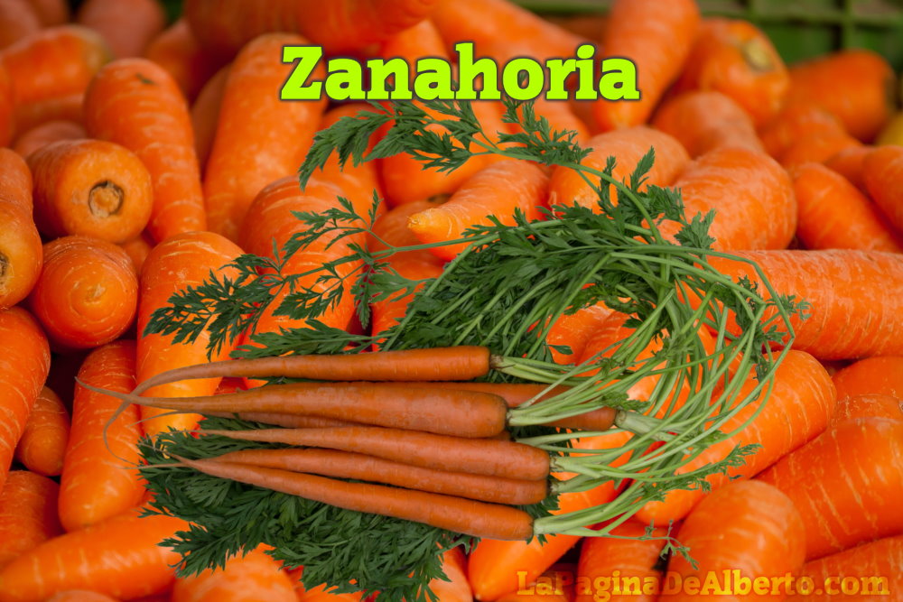 La zanahoria es el bocadillo perfecto: crujiente, llena de nutrientes, baja en calorías y dulce.