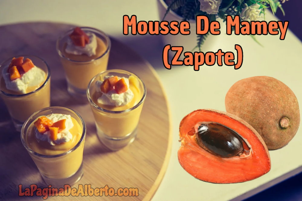 mousse de mamey o zapote la pagina de alberto 202202050151